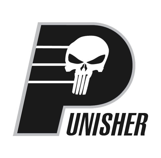Indiana Pacers Punisher logo iron on heat transfer